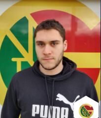 Milan Mitrovic